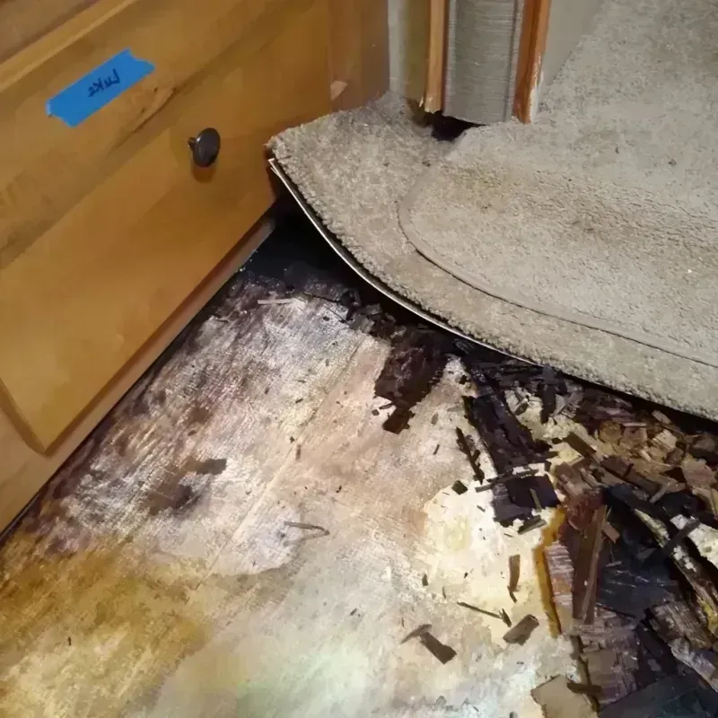 Wood Floor Water Damage in Highlands County, FL